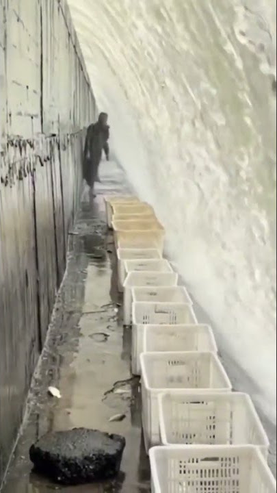 Most interesting ways of fishing #shorts #shortscraft #shortsvideo #shorsfeed