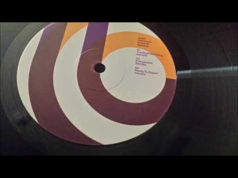 Justin Robertson — Justin Robertson - Everpresent