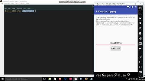 01 DIVA Android Application  Insecure Logging Issue