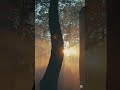 يا راحلين الى منى بقيادي