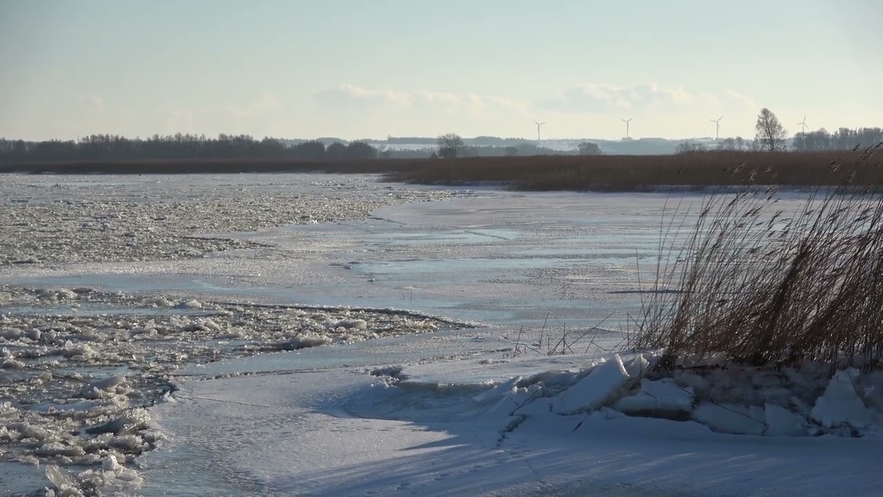Little trip to the frozen Danish coastline, February 2026