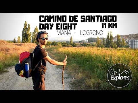 Viana - Logroño | Camino de Santiago