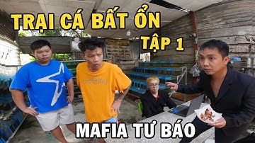 Trại Cá Bất Ổn Tập 1 - Anh Nhí Betta đối đầu băng nhóm Mafia Tư Báo (Phim Ngắn)