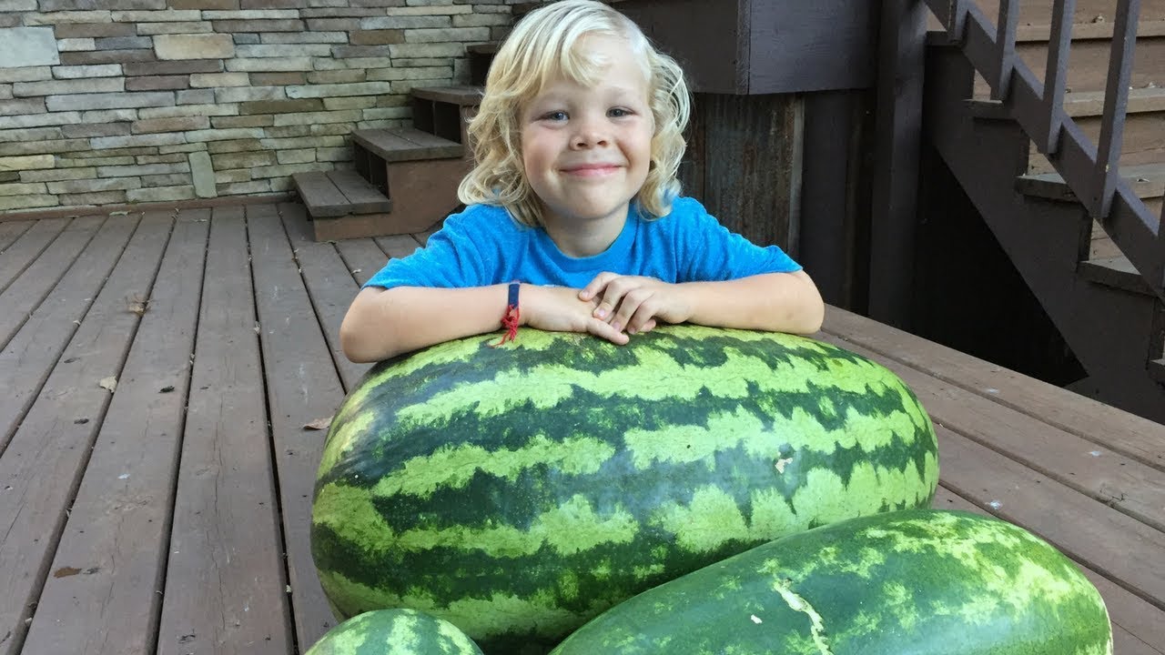 Houston's 2018 Watermelon Adventure Begins! YouTube
