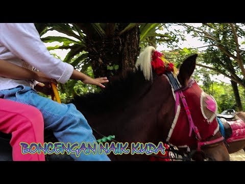 Little PILLION ride a horse | SI ZIPONG around the river carrying children
