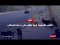 الكلاب الشاردة أزمةٌ تضاف على عداد المصائب