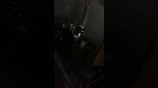 IMG 4046