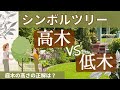 【高木vs低木】シンボルツリーの高さはどう選ぶ？