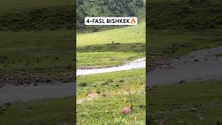 4-fasl Bishkek pereval #film #uzbekistan #bishkekkyrgyzstan #live