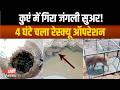 Sagar-80 फीट गहरे कु एं में गि रा जंगली सुअर! 4 घंटे के रेस्क्यू के बाद वन विभाग ने बचाई जा न