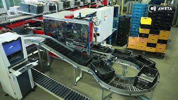 AWETA | Cucumber sorting & packing line at Zuidgeest