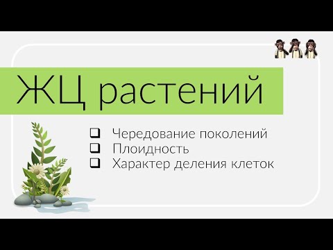 Жизненный цикл растений за 3 минуты