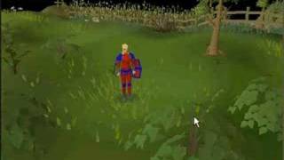 Runescape Glitch-Rune Scim