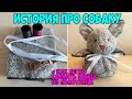 Поделка + История про Собаку // Сгорел ДОМ и собака осталась на улице без ХОЗЯИНА