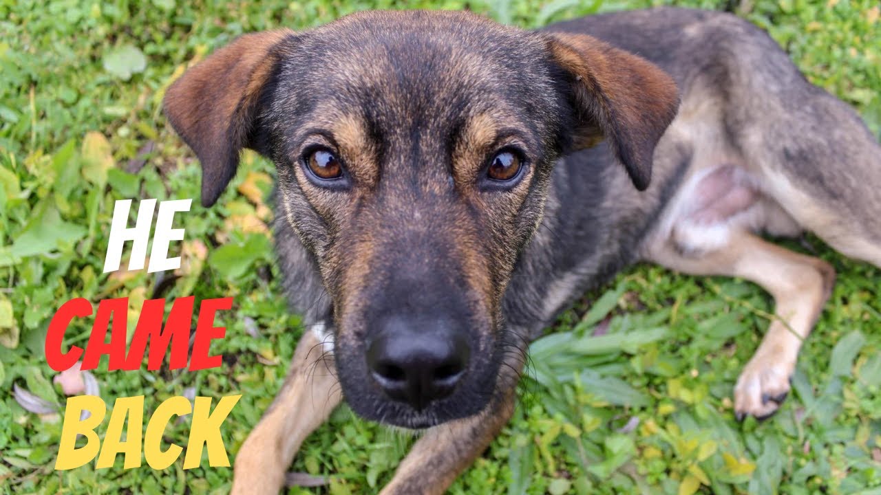 He Came Back After 5 Days Missing — With a Wire Around His Neck