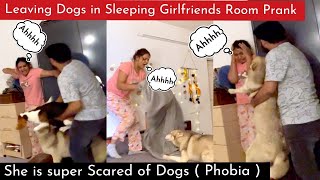 LEFT DOGS IN SLEEPING GIRLFRIENDS ROOM PRANK | LOUD SCREAMING REACTIONS |SHE'S SUPER SCARED OF DOGS
