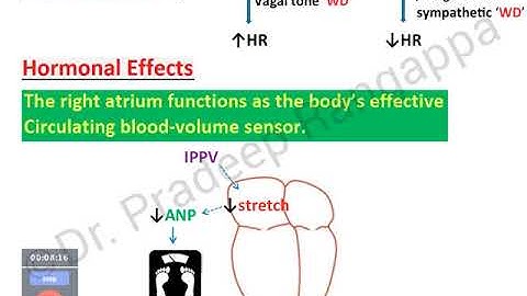 Heart Lung Interaction | Dr. Pradeep Rangappa