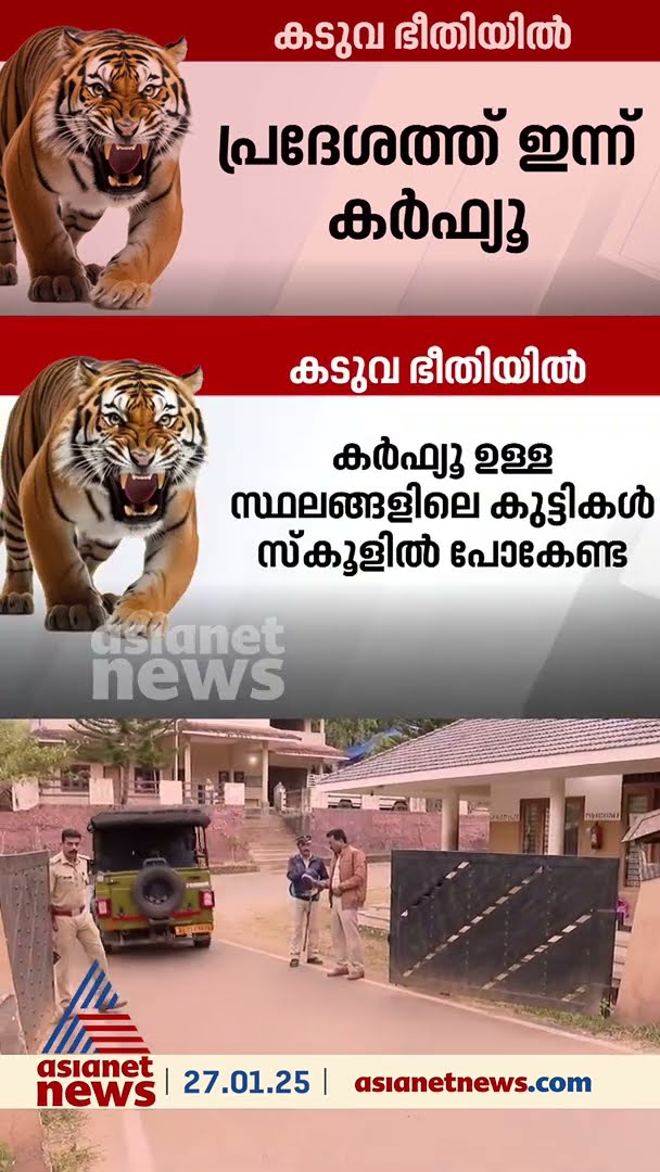 കടുവ ഭീതിയില്‍ 48 മണിക്കൂര്‍ കര്‍ഫ്യൂ;പഞ്ചാരിക്കൊല്ലിയില്‍ സ്‌കൂളുകള്‍ക്ക് അവധി