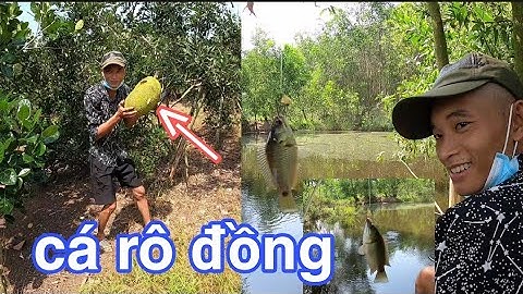 NTVL vào rừng câu cá rô đồng ở hồ bỏ Hoang