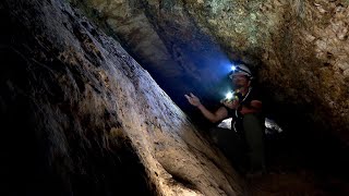 Una mina de oro con 2.000 años de vida | Naturaleza viva