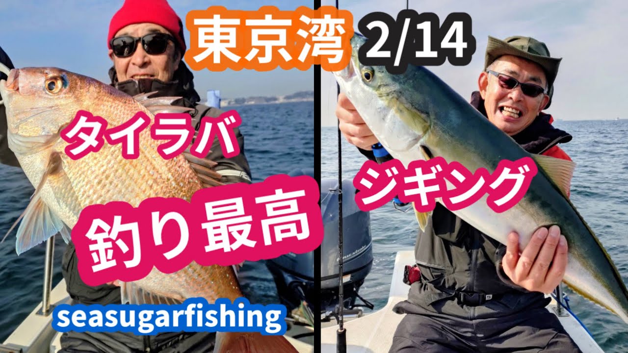 2026年2月14日 東京湾タイラバ＆ジギング爆釣！真鯛・ワラサ・ヒラメ・ホウボウで乾杯🍶