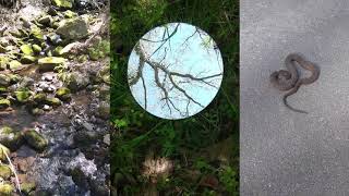 A random paragraph from Ponckhockie Union