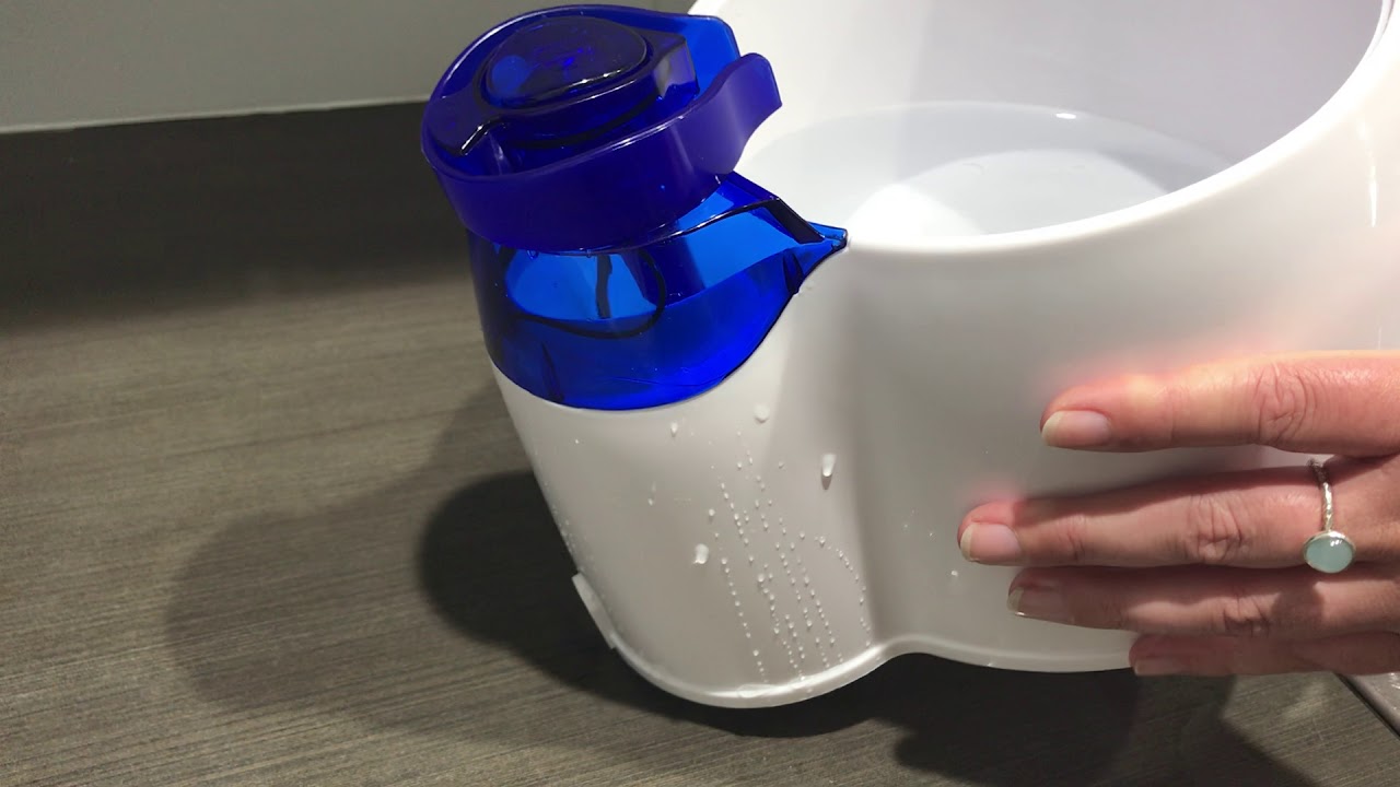 Why and how to fix leak in All For Paws Pet Water Fountain for Dogs and