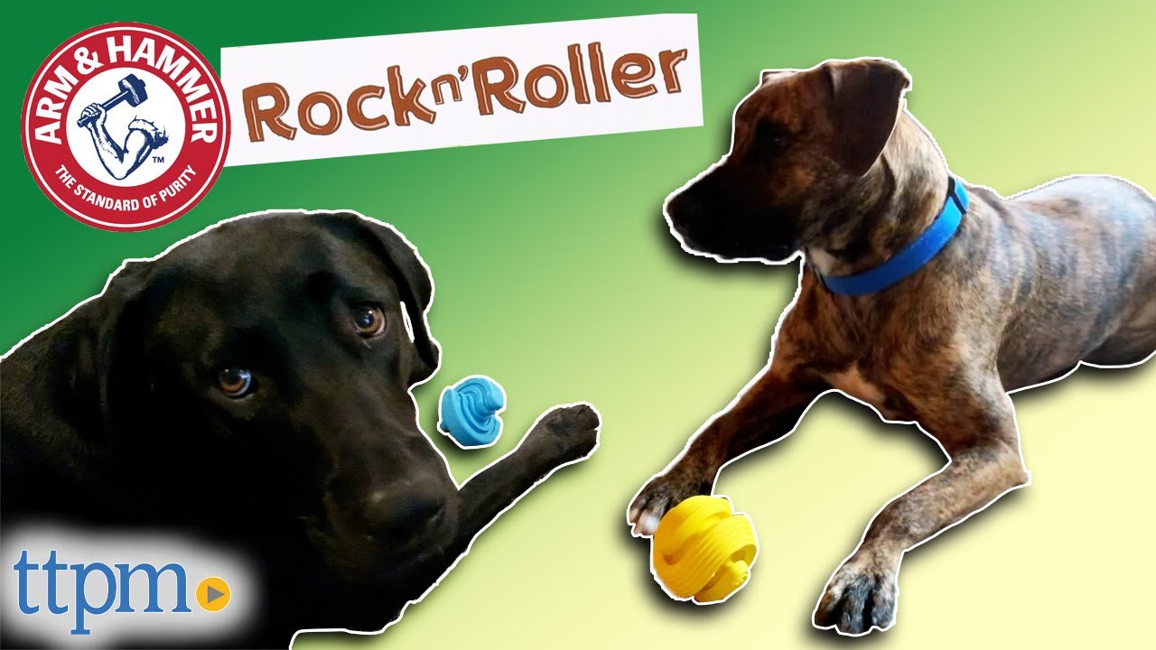 Arm & Hammer Rock N' Roller Whirl Rubber Ball Chew Toy for Dogs – MacroPetz