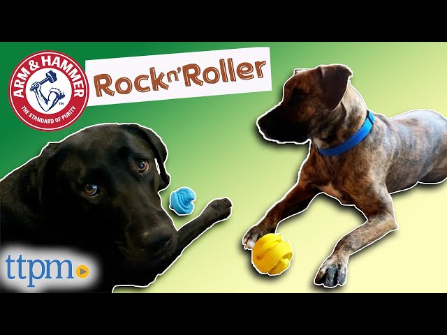 Puppies Review the Arm & Hammer Rock N' Roller Chew Toys for Dogs from  Fetch for Pets! 