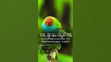 سورة المؤمنون رقم الاية 106 - 108