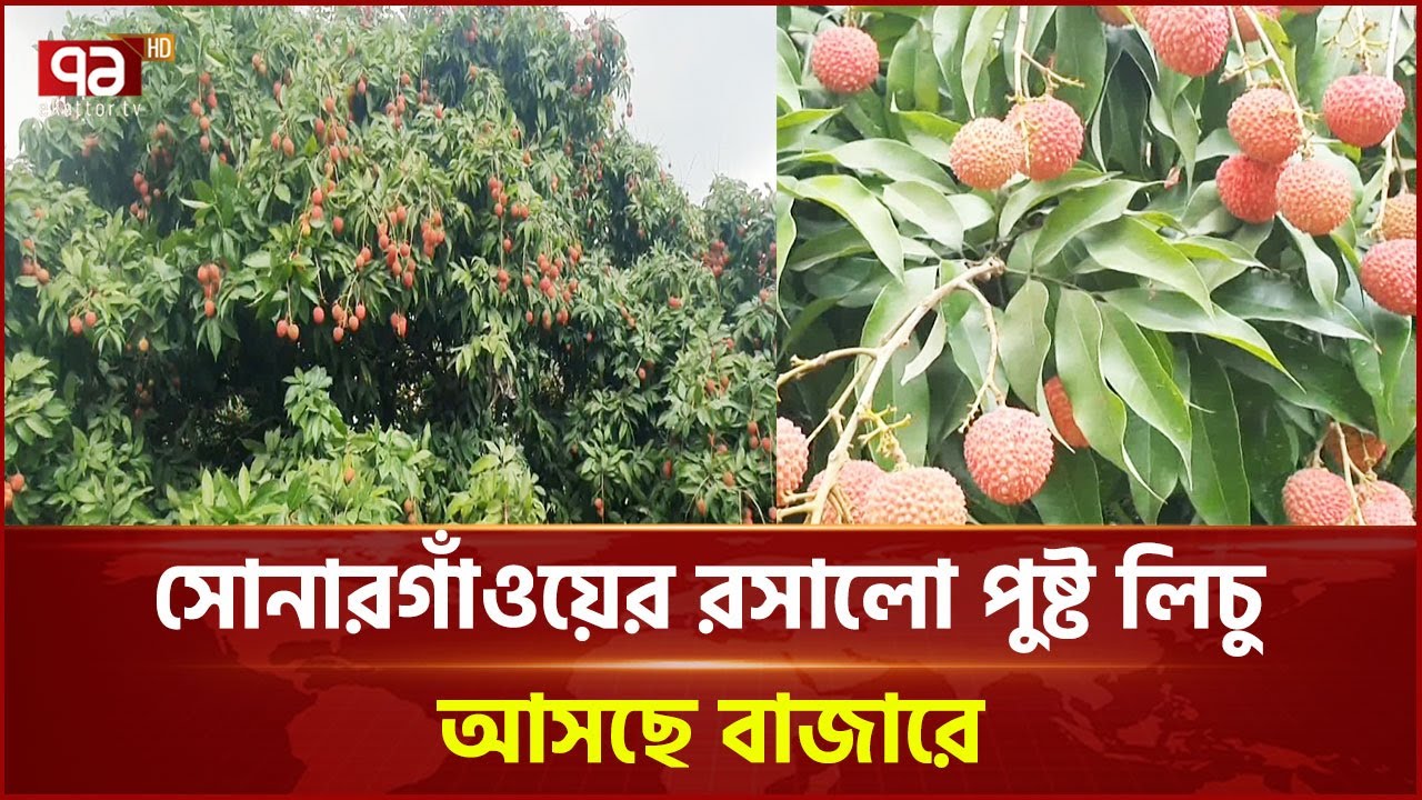 Eng issiq porno jojalar onlayn Katta dumbalar bi porno