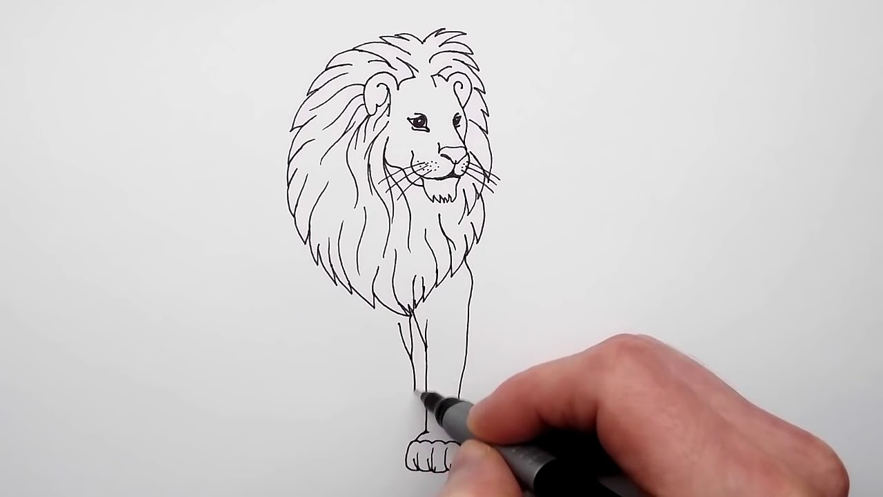 Как нарисовать льва легко