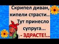 Я же просила Сделать из моего Мужа ЖЕРЕБЦА??! Прикольный женский юмор.