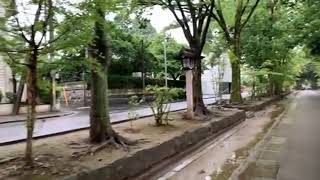 LIVE Japan Rain Walk 2021.7.8 ASMR Ambient Sound Sleep Meditate Relax Tokyo Suburb