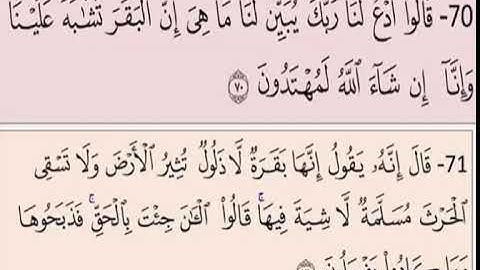 النصف الاول من صفحة 11 الايات من 70 الى 73 مكررة سورة البقرة الشيخ ماهر المعيقلى