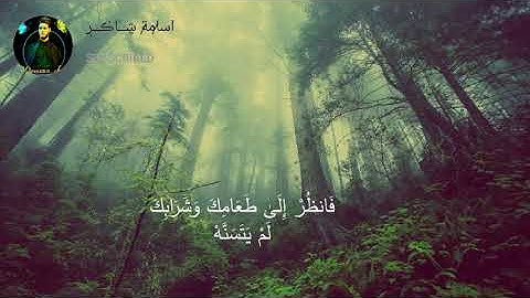 أو كالذي مر على قرية وهي خاوية سورة البقرة