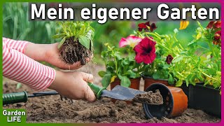 GARDEN LIFE 🌻 Mein eigener Garten | Gartenbau Simulator [s1e1] screenshot 4