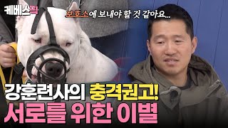 [#개는훌륭하다] '가드독' 도고아르헨티노 럭키! 좋지 않은 환경에 어려운 결정을 내리는 강훈련사와 보호자😢｜KBS 240219 방송