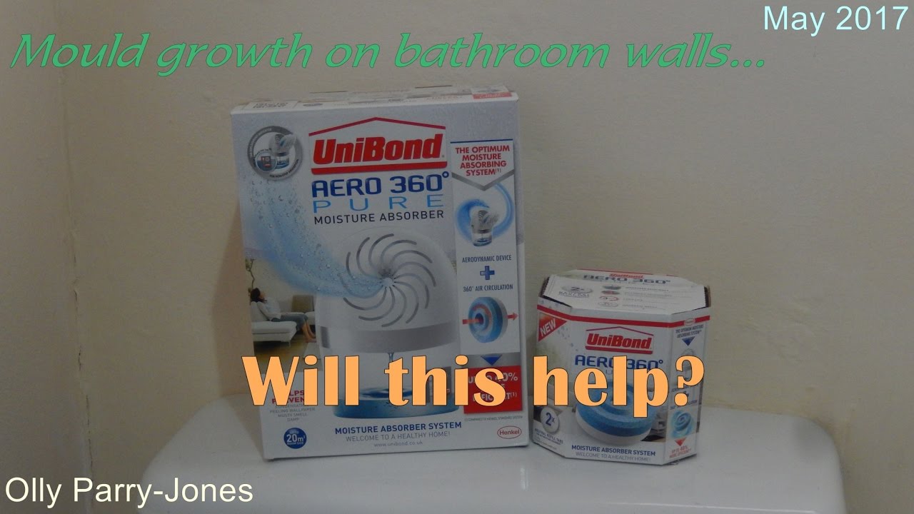 Mould On The Bathroom Walls YouTube