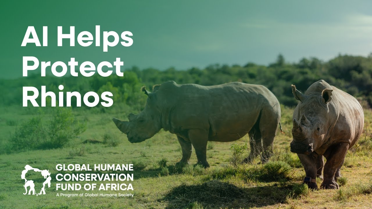 Protecting Rhinos from Poaching with AI Innovation