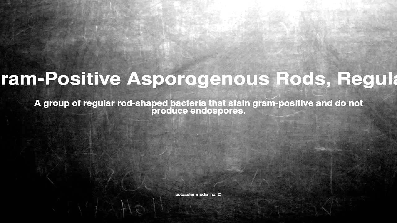 Medical Vocabulary What Does Gram Positive Asporogenous Rods Regular 