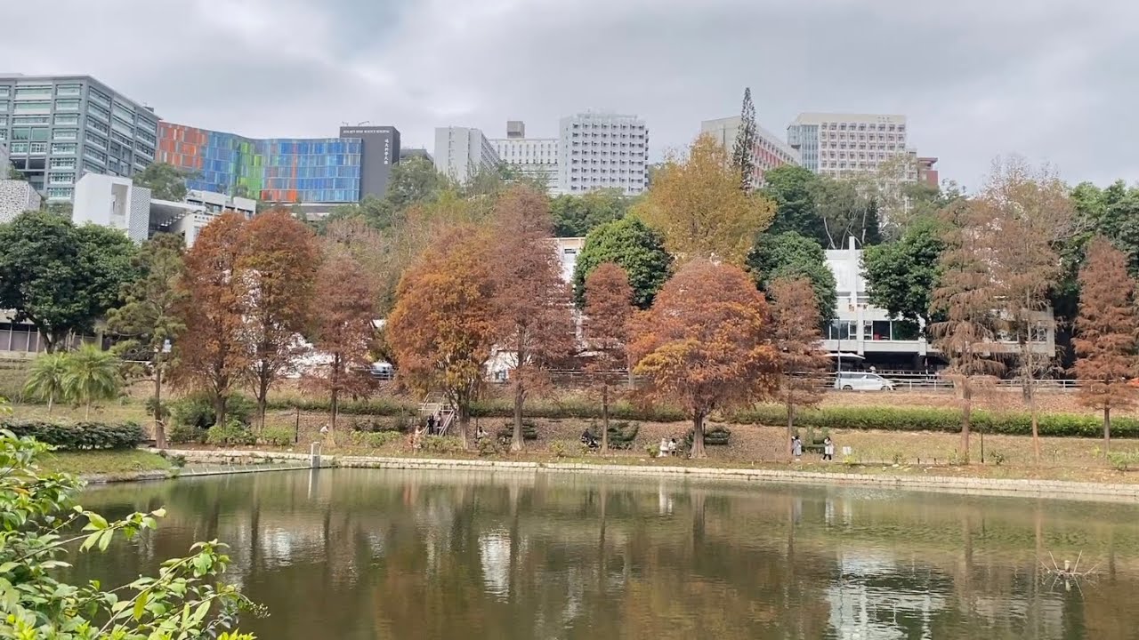 THE VIEW OF LAKE AD EXCELLENTIAM HONGKONG #walking #explore 