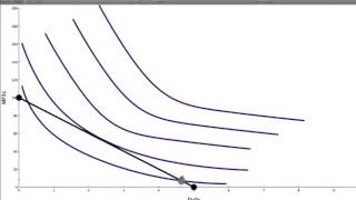 04. Optimal Consumption Point