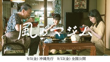 【伊藤沙莉/主演】映画『風のマジム』本予告（105秒）主題歌・森山直太朗