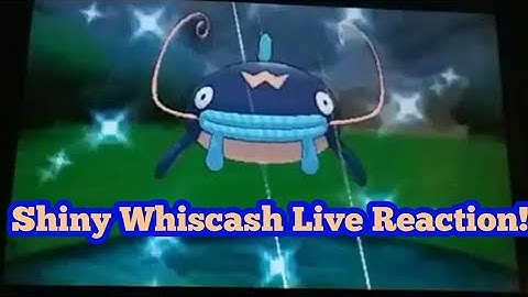 Shiny Whiscash Live Reaction!