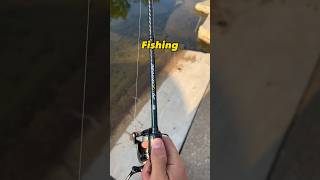 Best Fishing Rod For Under $50