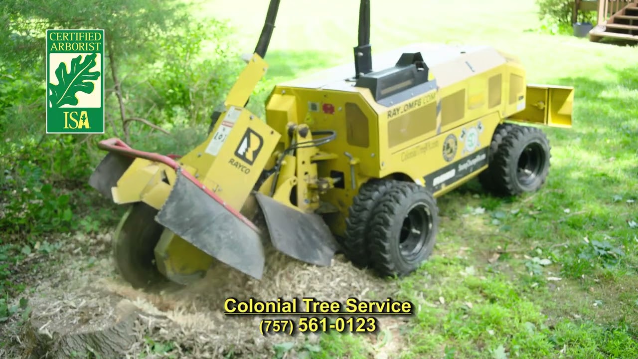 Colonial Tree Service of Williamsburg, VA ColonialTreeVA.com Certified Arborist 4K TV Commercial