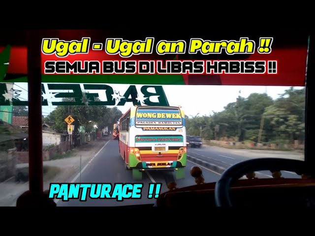 Bus Ini Ugal - Ugalan Parah❗Ngebut Di Pantura🔥 class=