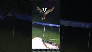 Love #trampoline#meme#fyp#sub