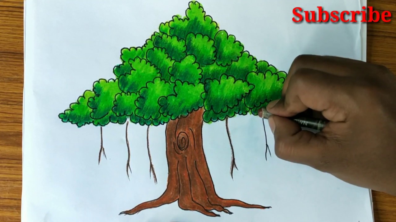 How To Draw Banyan Tree || Banyan Tree Drawing || - YouTube